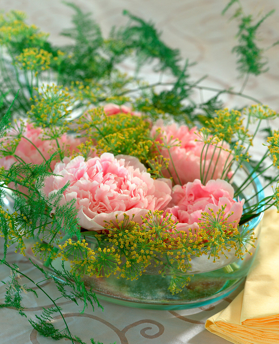 Paeonia officinalis (peony) and dill