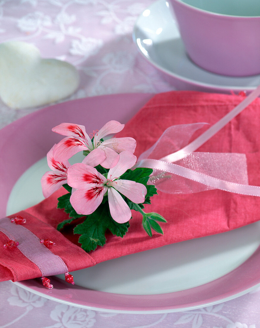 Serviette Deco with geranium flowers (Pelargonium)