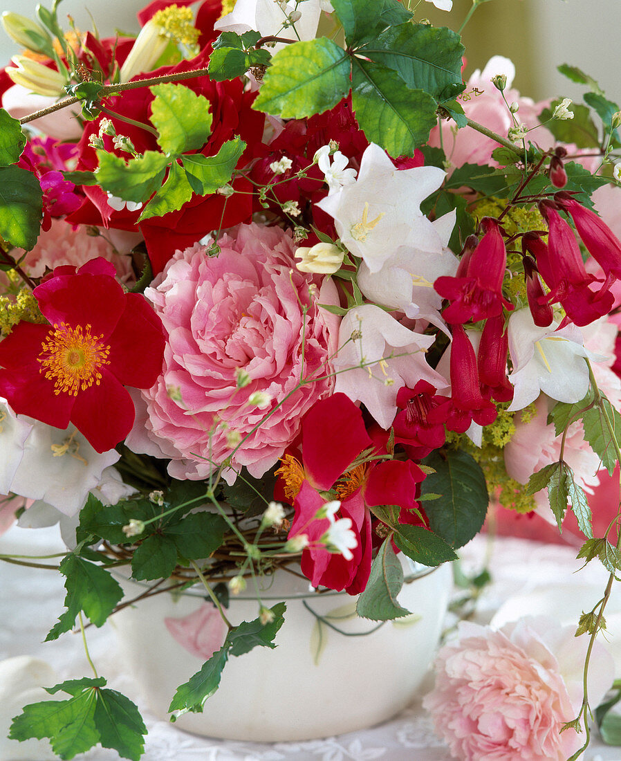 Rosa rugosa (Apple Rose), Paeonia (Peony), Campanula