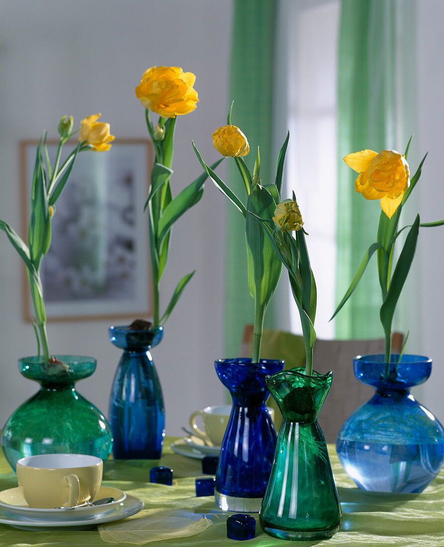 Tulips grown on hyacinth jars