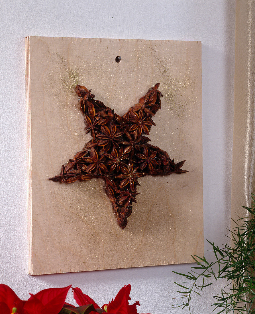 Star made by yourself: Star anise fruit in the shape of a star on a