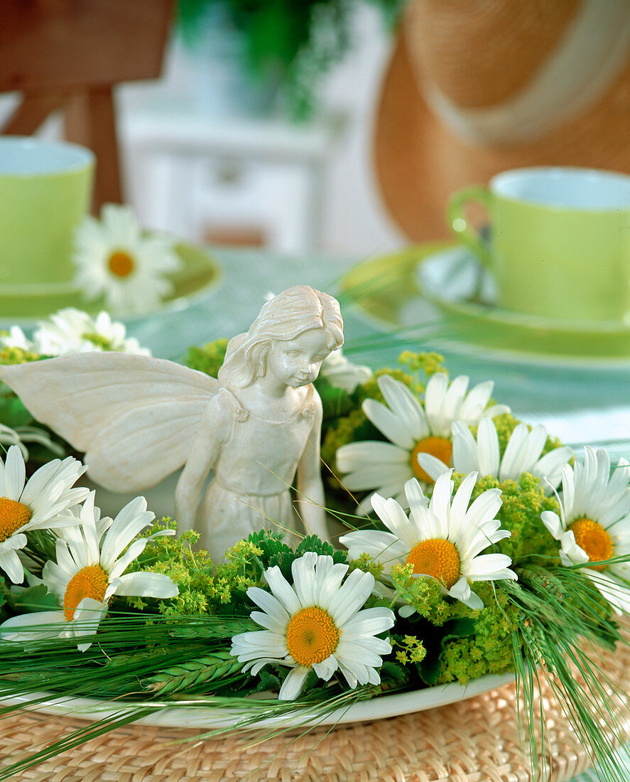 Kranz aus Leucanthemum (Margeriten), Alchemilla