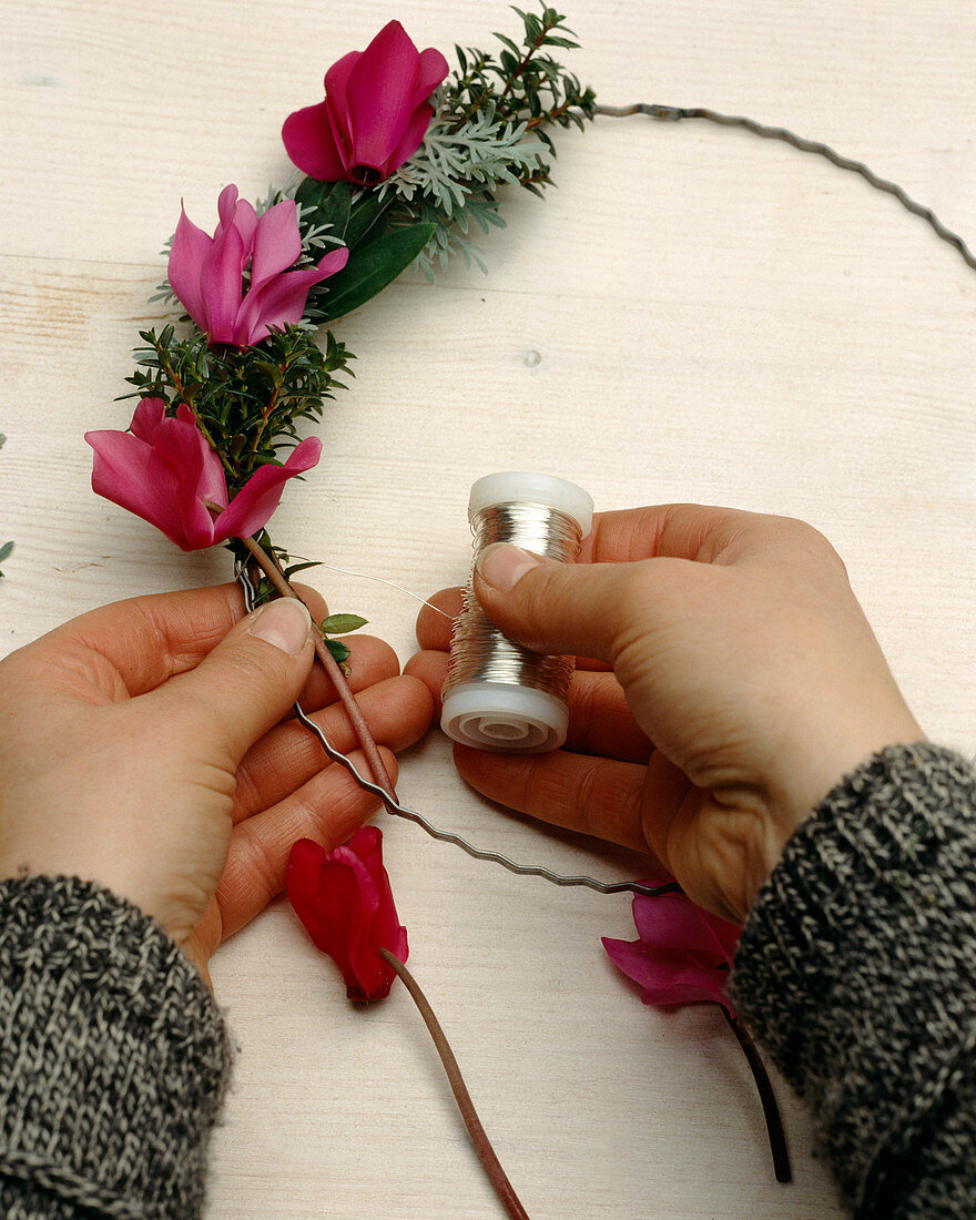 Wreath making with cyclamen (cyclamen violet)