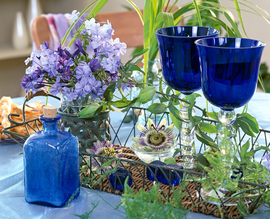 Plumbago flowers (plumbago), Passiflora (passion flower)