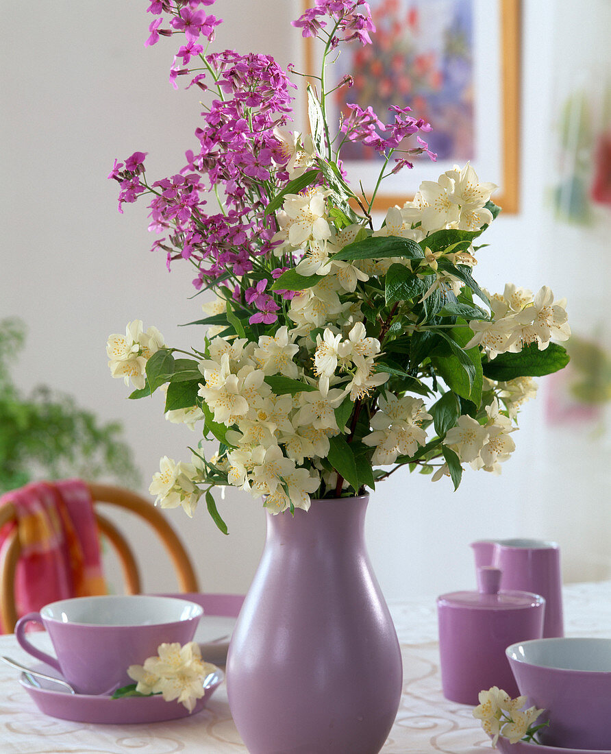 Scented bouquet - Philadelphus coronaria (False Jasmine)