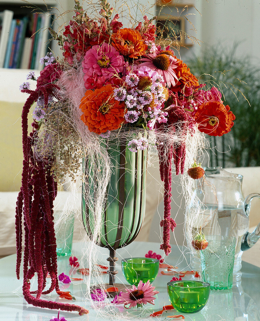 Zinnia elegans, Verbena bonariensis, Antirrhinum (snapdragon)