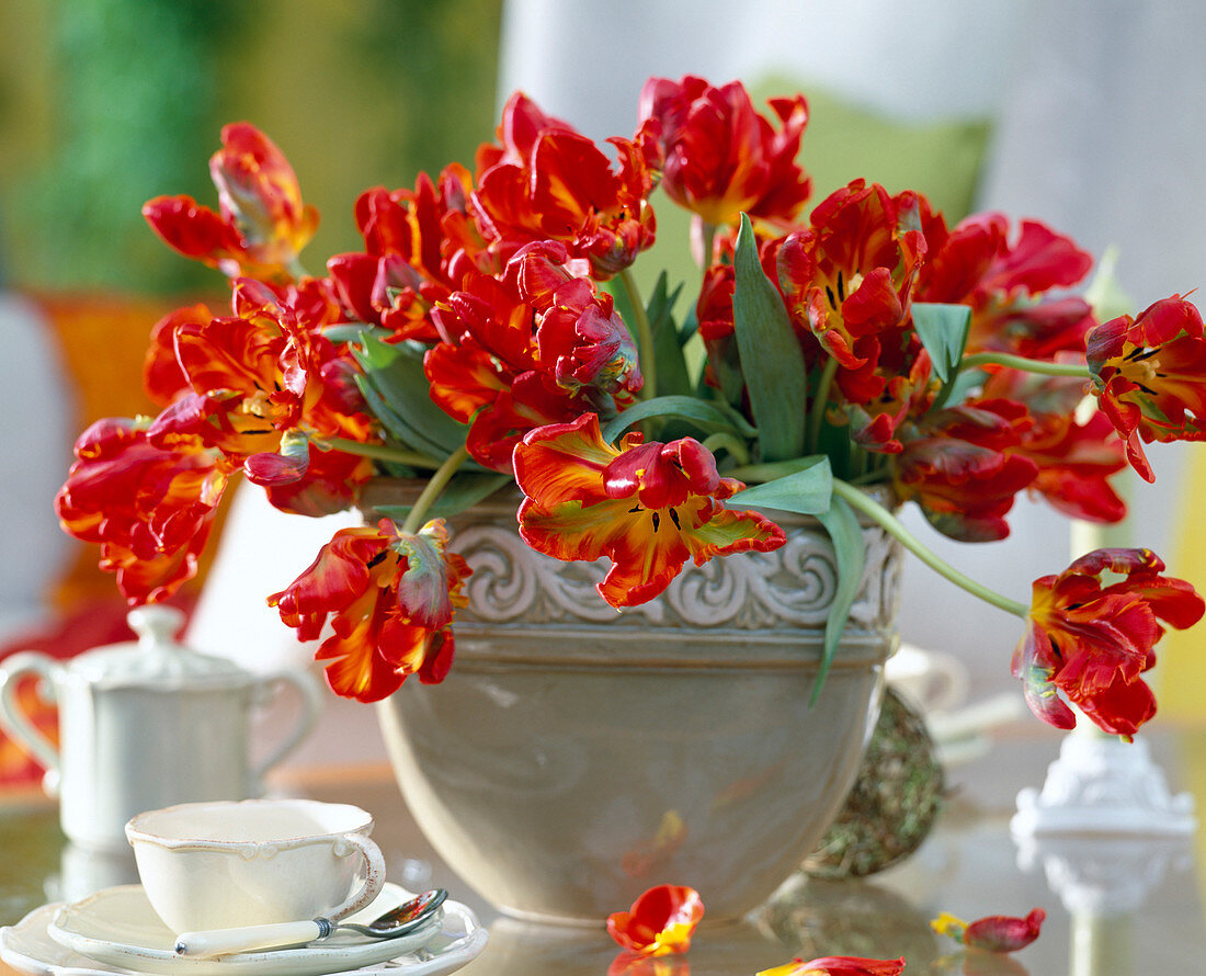 Bouquet with Tulipa (Parrot Tulips)