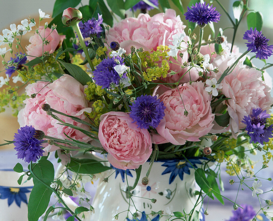 Paeonia (Pfingstrose), Centaurea (Kornblume), Alchemilla