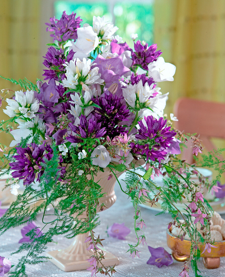 Strauß aus diversen Glockenblumen: Campanula glomerata