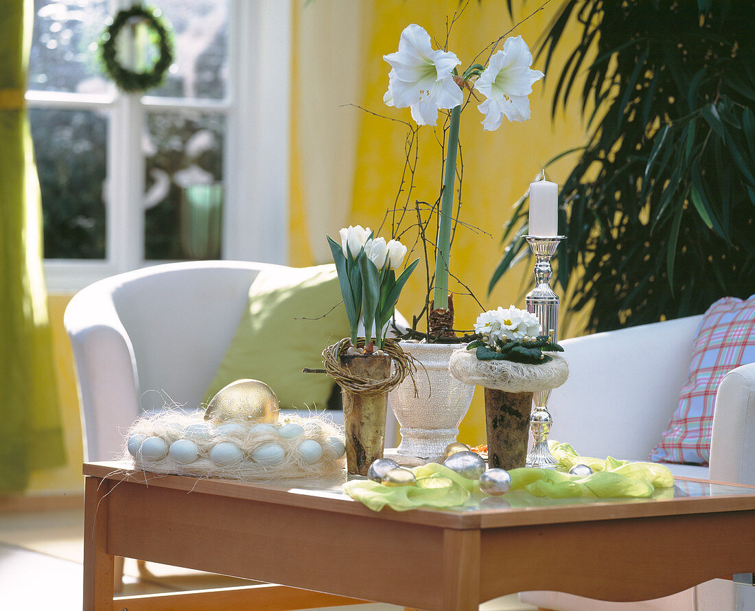 Easter table decoration with Tulipa, Hippeastrum (Amaryllis)