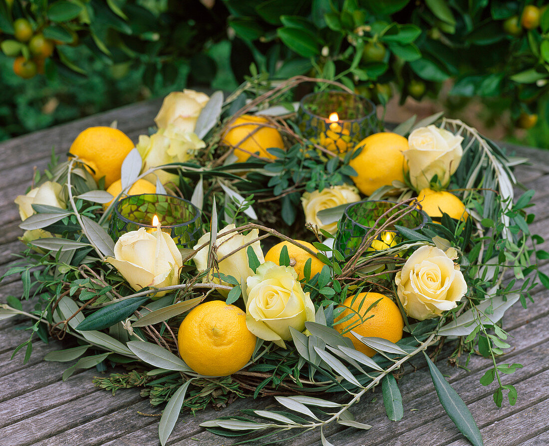 Wreath of Daphne (daphne), Olea europaea (olive branches)