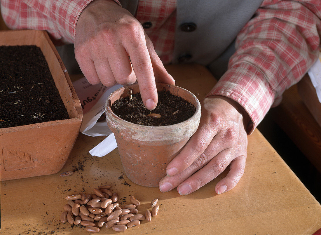 Sowing in the room