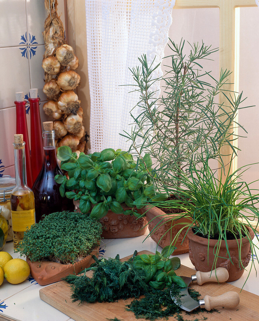 Herbs on windowsill