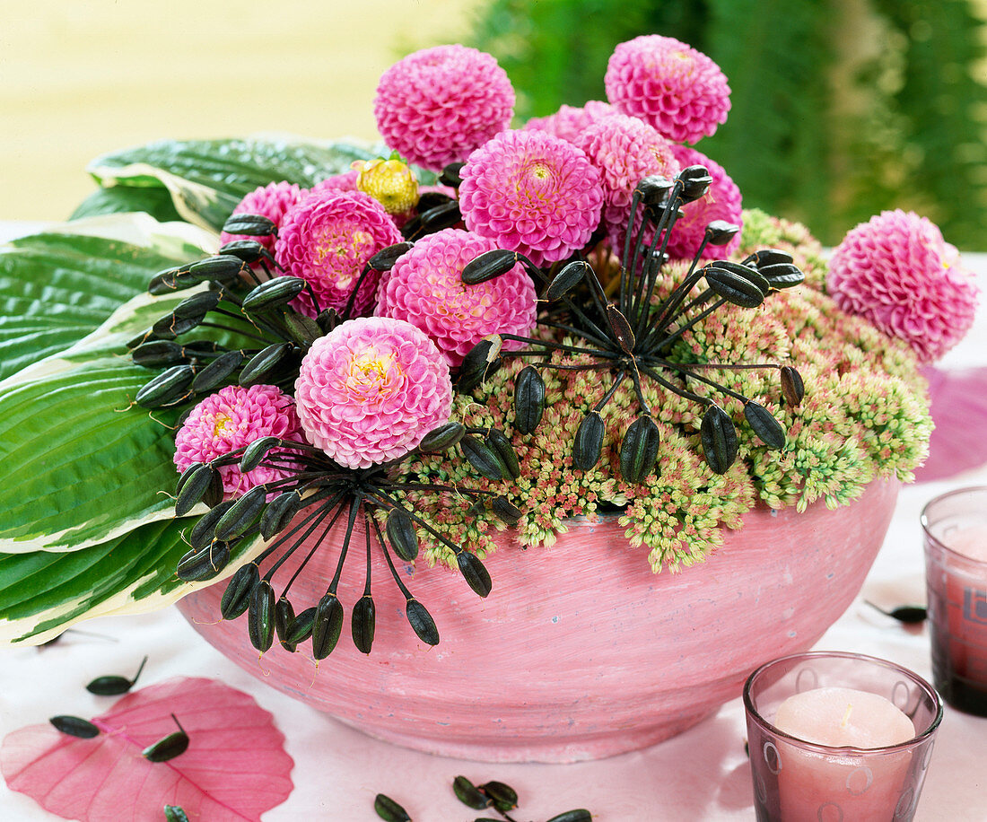 Schale mit Dahlia-Hybr. (Dahlien), Sedum (Fetthenne), Hosta