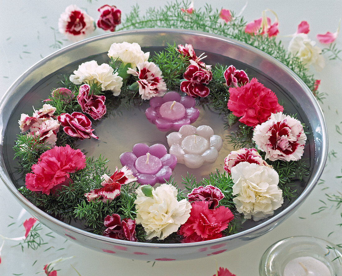 Wreath with Dianthus (carnations), Asparagus (ornamental asparagus)