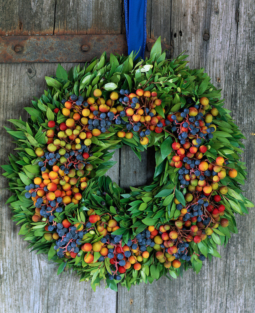 Door wreath with berry decoration. Parthenocissus fruit (wild vine, privet leaf)
