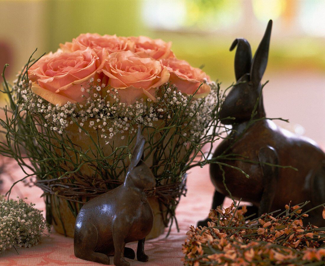 Salmon-colored roses (Versilia), Gypsophila (Gypsophila)