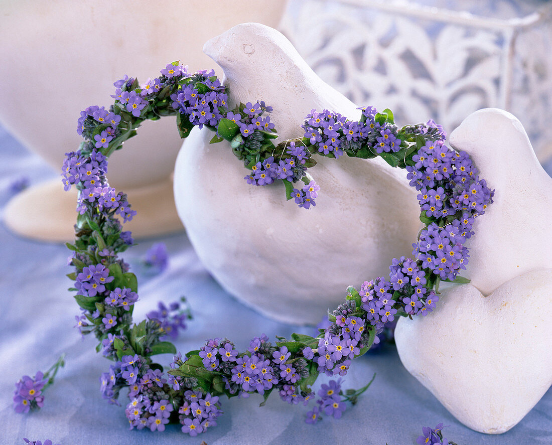 Heart-shaped wreath with Myosotis (forget-me-not flowers)