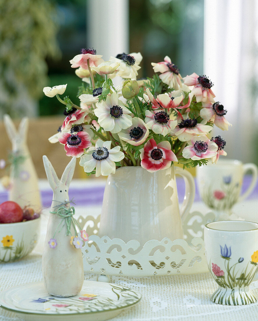 Anemone coronaria 'De Caen' (Kronenanemone)