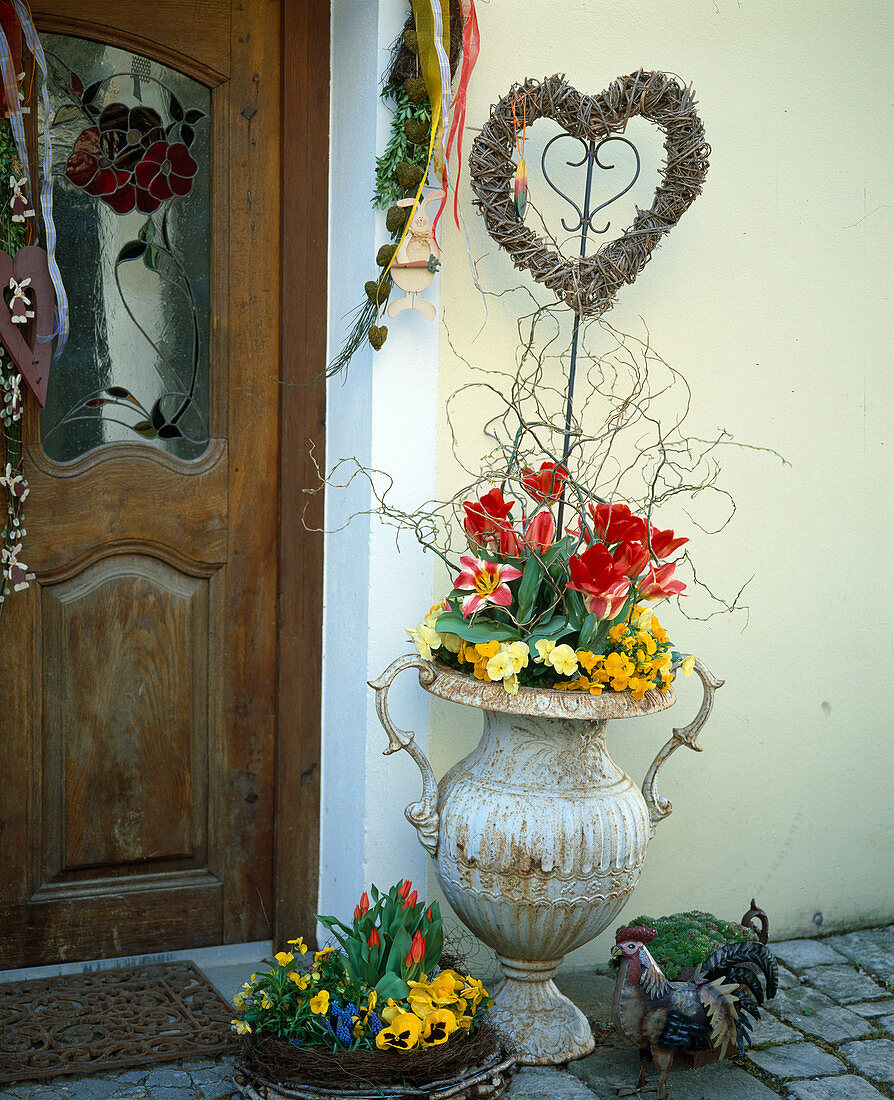 Eisenamphore am Hauseingang mit Tulipa 'Showwinner', Viola