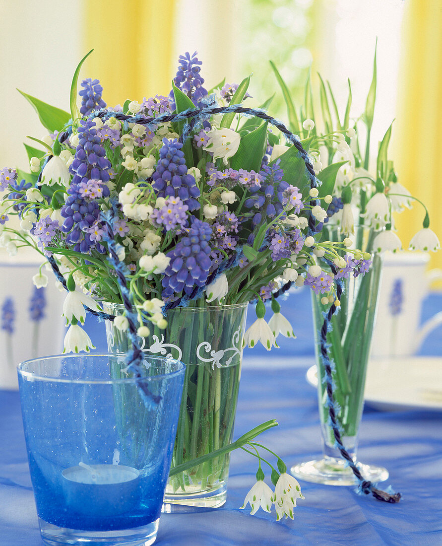 Muscari (grape hyacinth), Convallaria (lily of the valley)