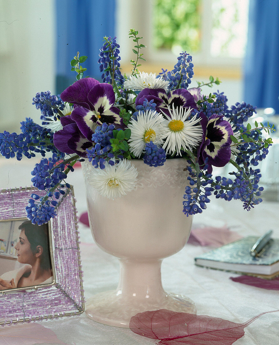 Muscari (grape hyacinth), Viola (pansy), Bellis