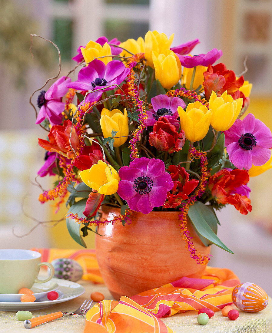 Anemone coronaria / Kronenanemone, Tulipa / Tulpen, Bastkordel