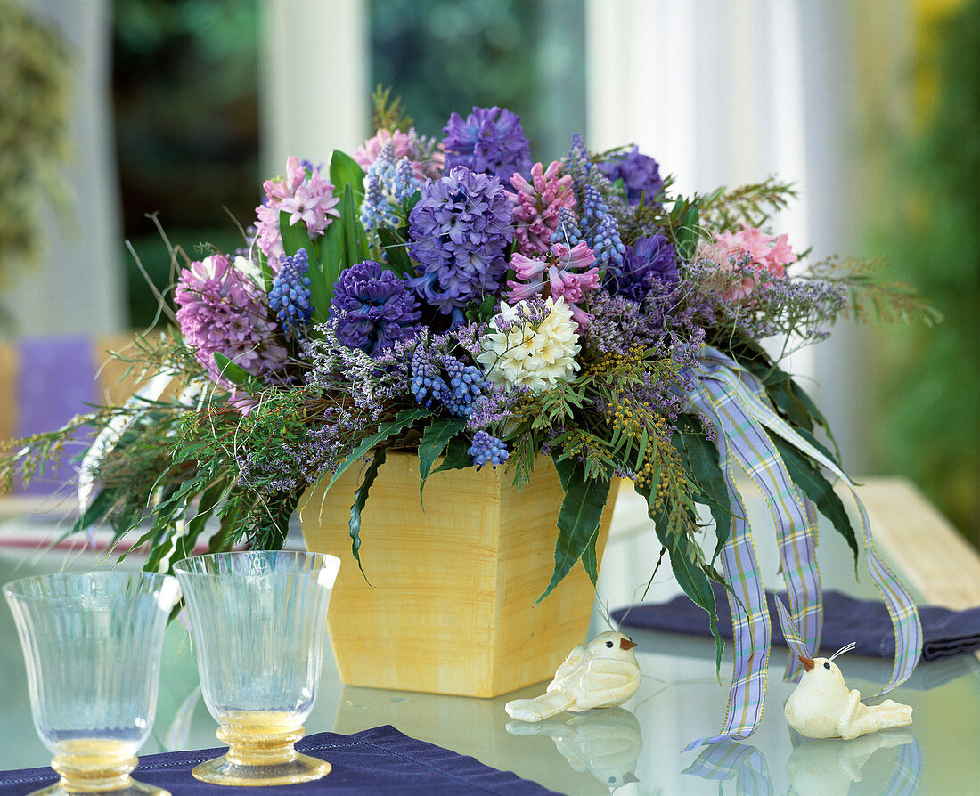 Hyacinthus orientalis 'King Kodro' (Dark Blue), 'Delft Blue'