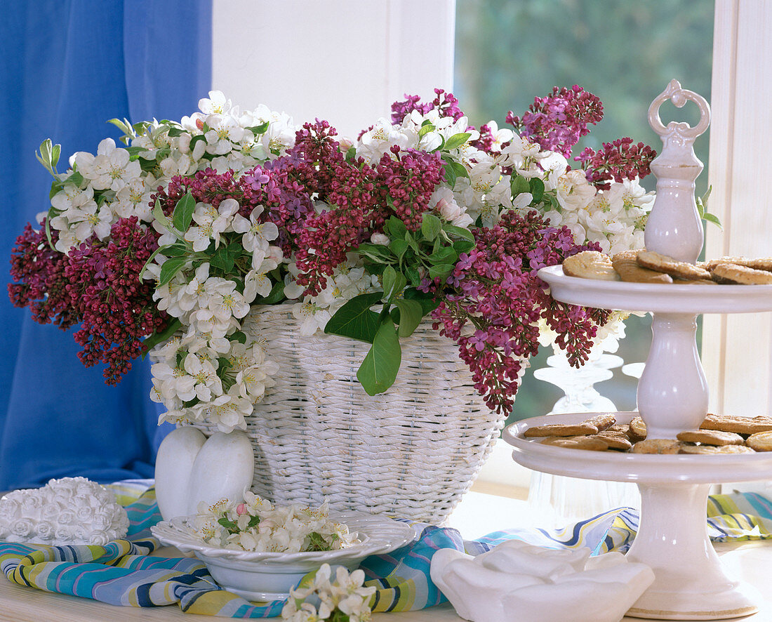 Basket lined with plastic as a vase for Syringa vulgaris