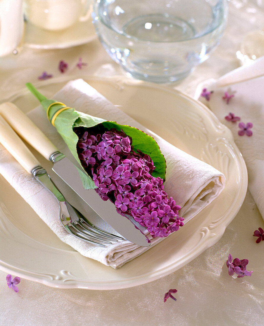 Napkin Deco, Syringa (lilac) flowering in bergenia leaf