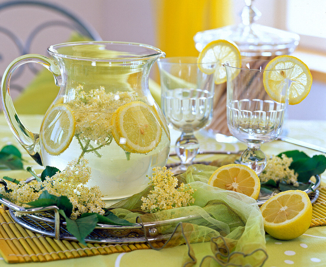 Holunder - Limonade: Wasser, Zucker, Zitronen und Holunderblüten