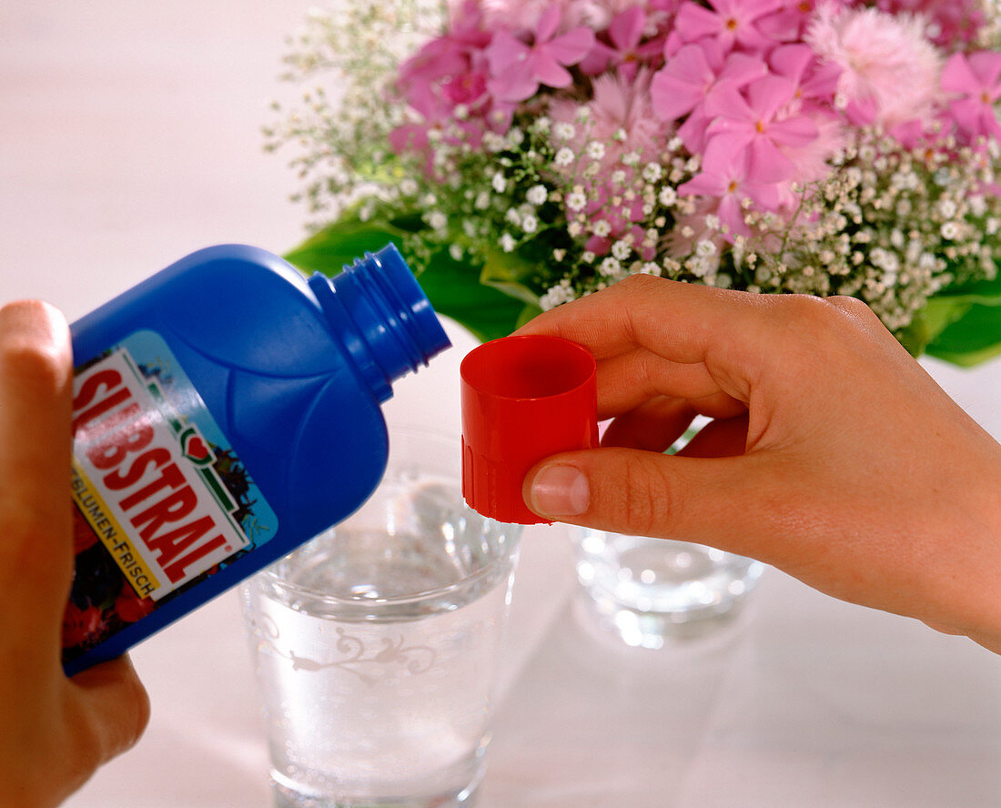 Add fresh preservative for cut flowers to the water