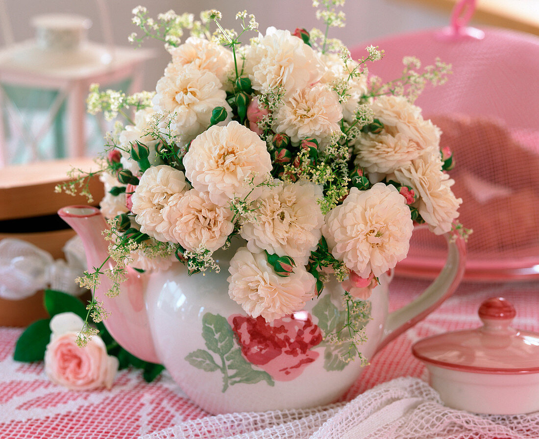 Teekanne als Vase für historische Rosen 'Winchester'