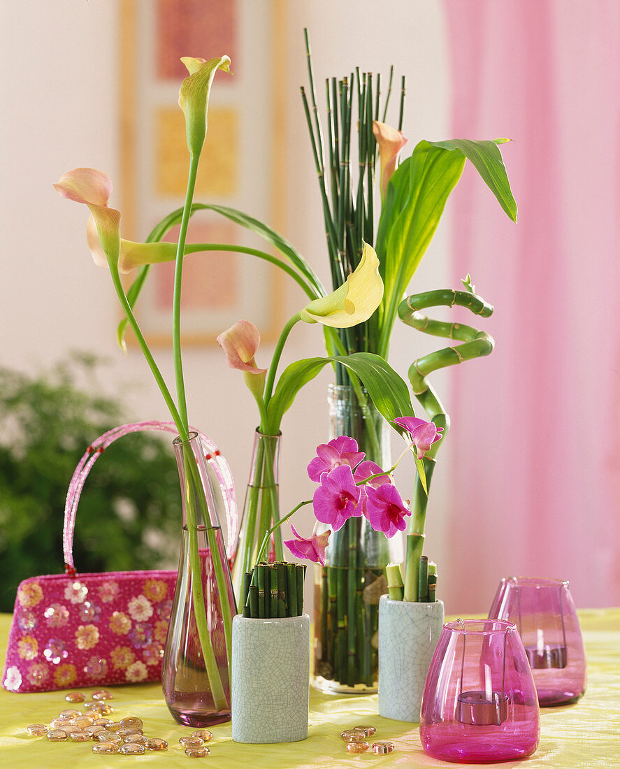 Glass vases with Zantedeschia (Calla), Equisetum