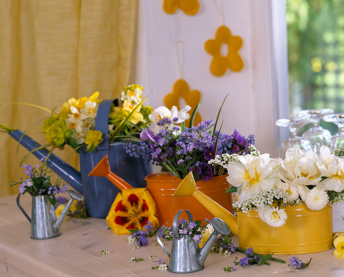 Small watering cans as vases with myosotis (forget-me-nots)