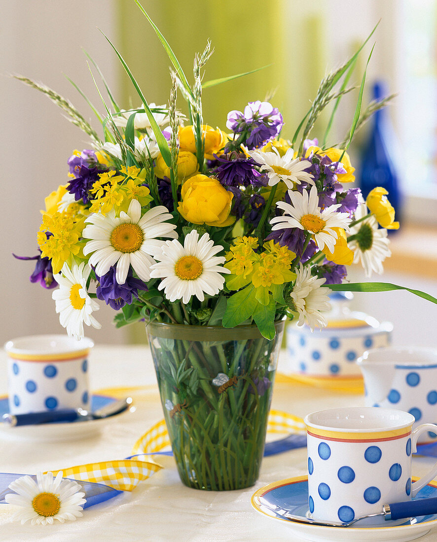 Argyranthemum (Marguerite), Trollius (Trollflower), Euphorbia