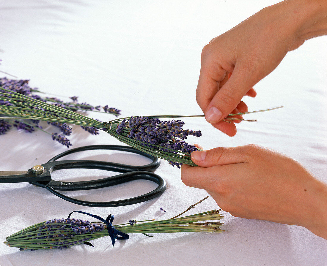 Tying lavender bottles