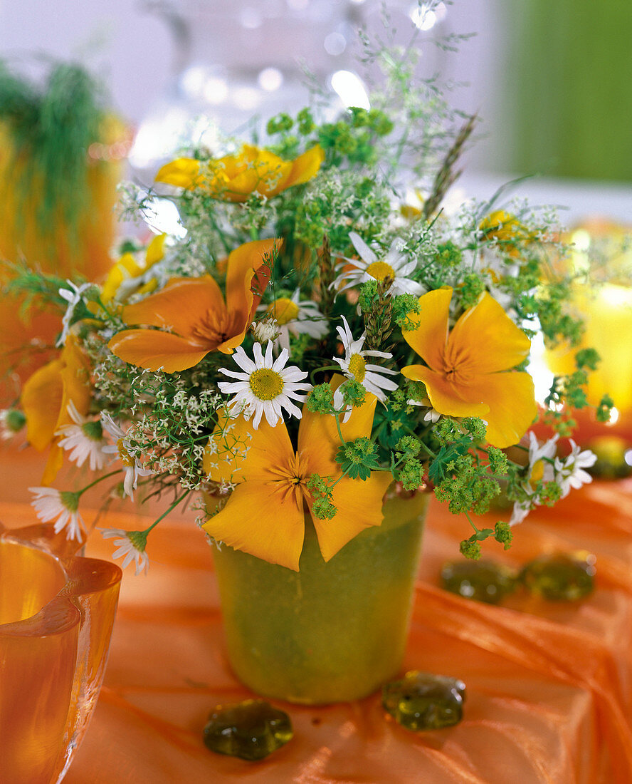 Eschscholzia (Schlafmützchen), Alchemilla (Frauenmantel)