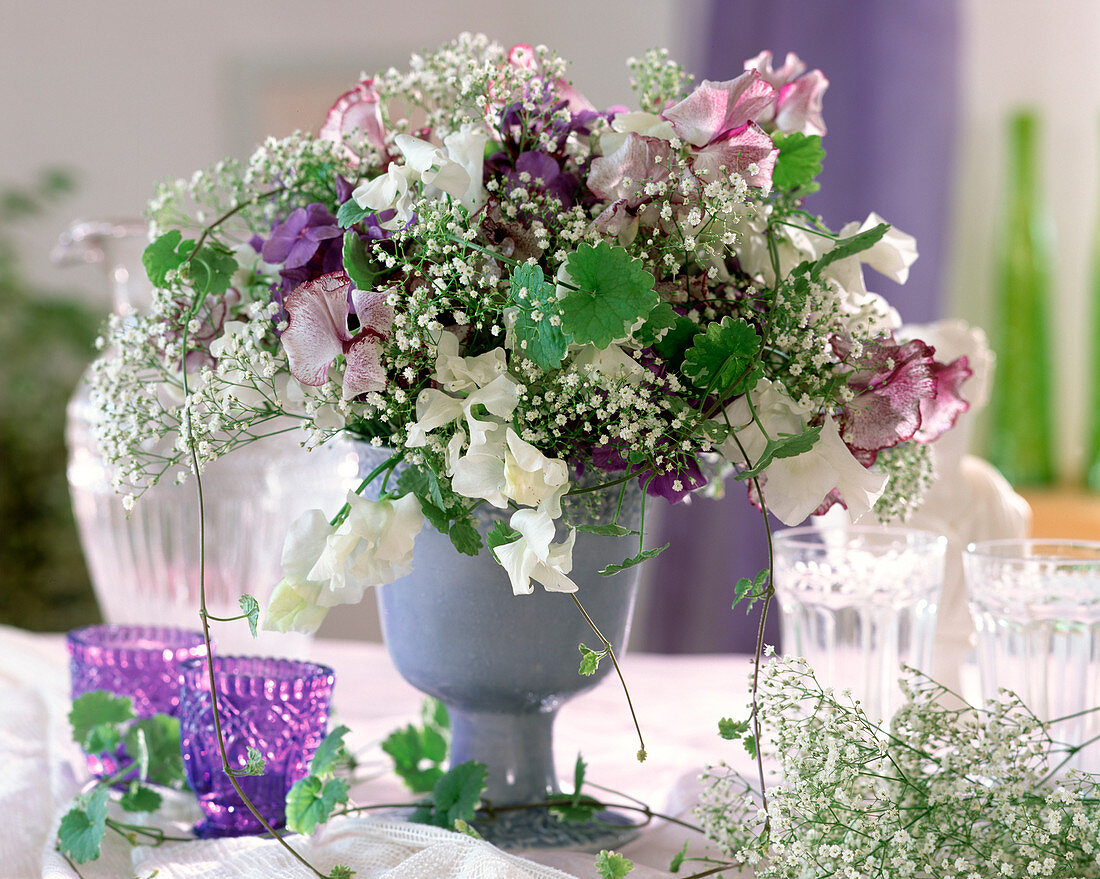 Lathyrus odoratus (Duftwicken), Gypsophila (Schleierkraut)