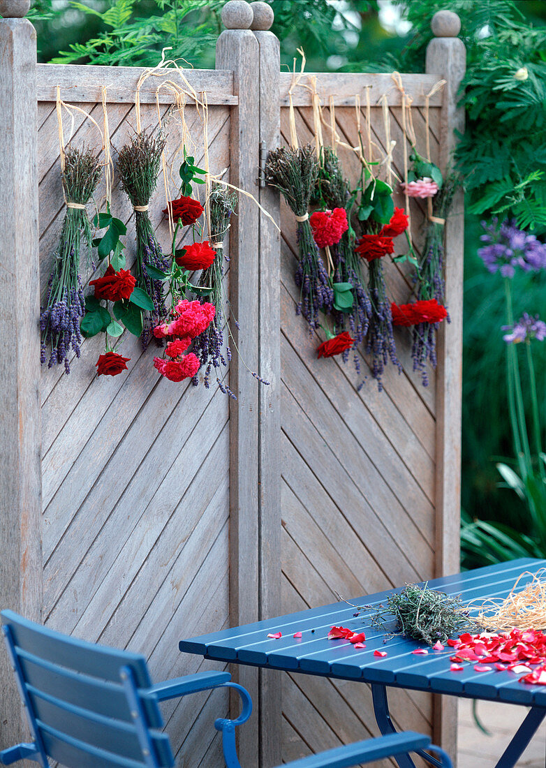 Lavendel und Rosen zum Trocknen kopfüber aufhängen