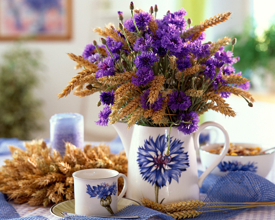 Weizenähren, Centaurea (Kornblumen)