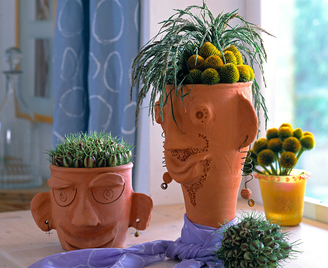 Clay heads with cuttings and fruiting plants from