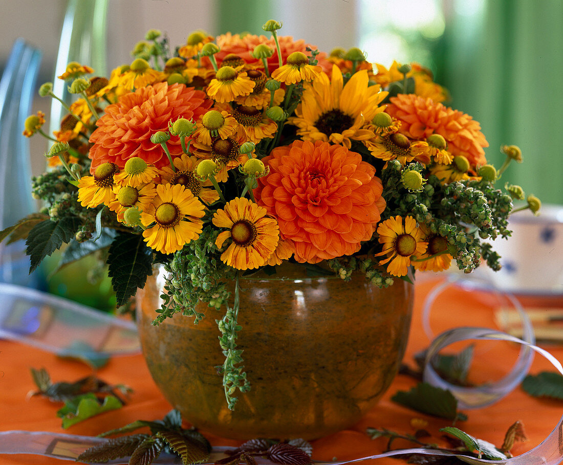 Dahlia hybr., Helenium (Sunflower)