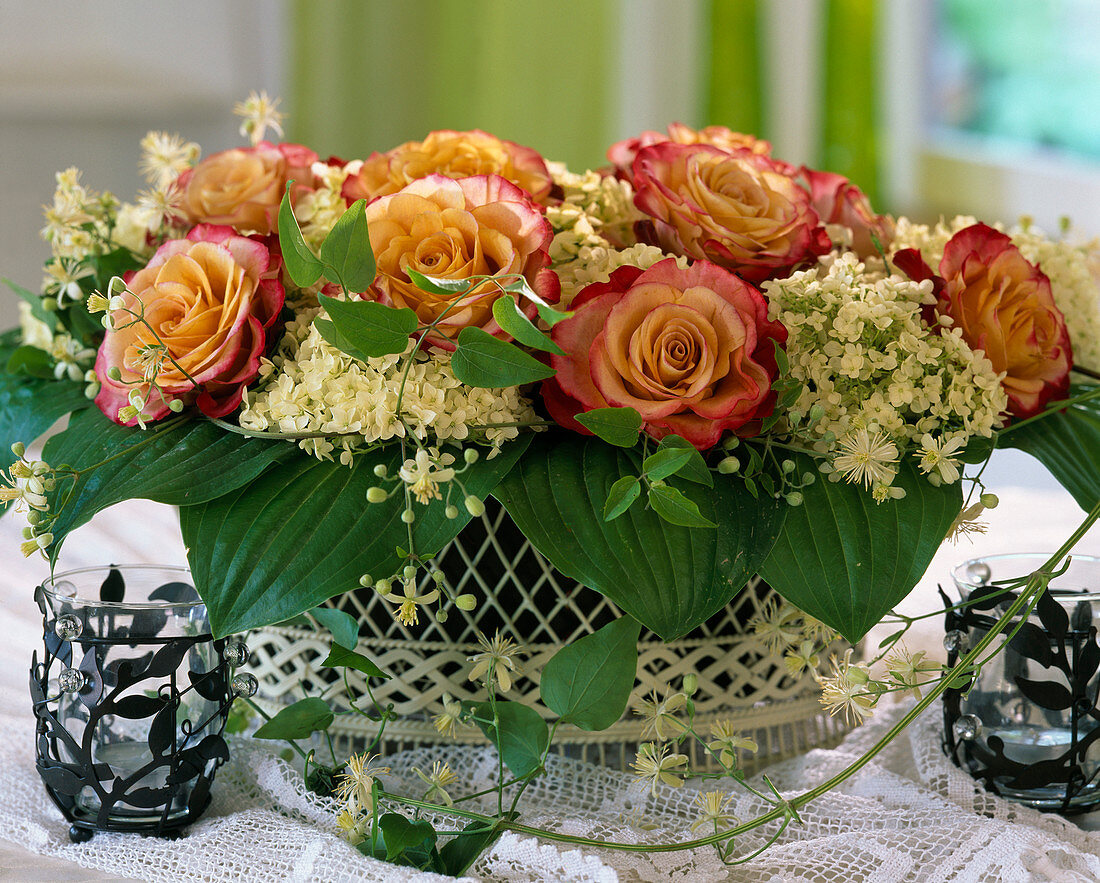 Wire basket with rose blossoms, Hydrangea arborescens (hydrangea)