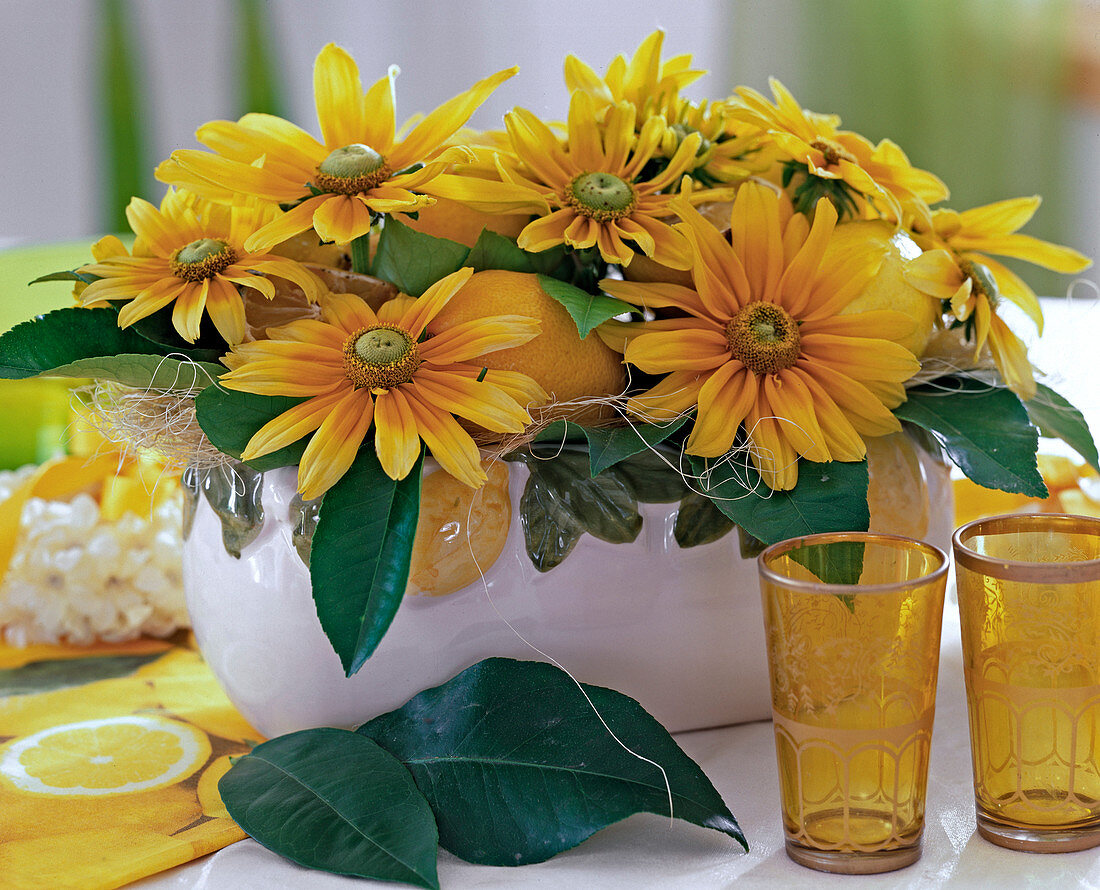 Jardiniere: Rudbeckia 'Prairie Sun', Zitronen