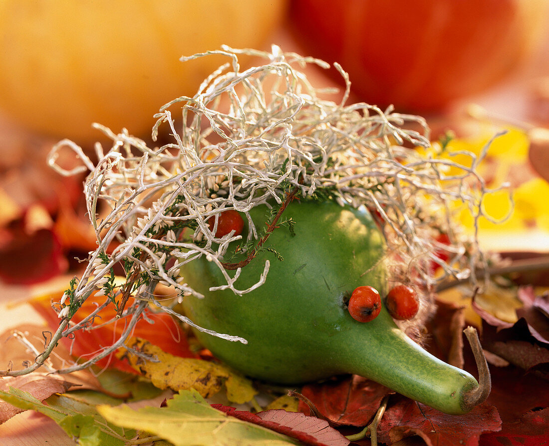 Kürbisfigur mit Haaren aus Calocephalus (Stacheldraht)