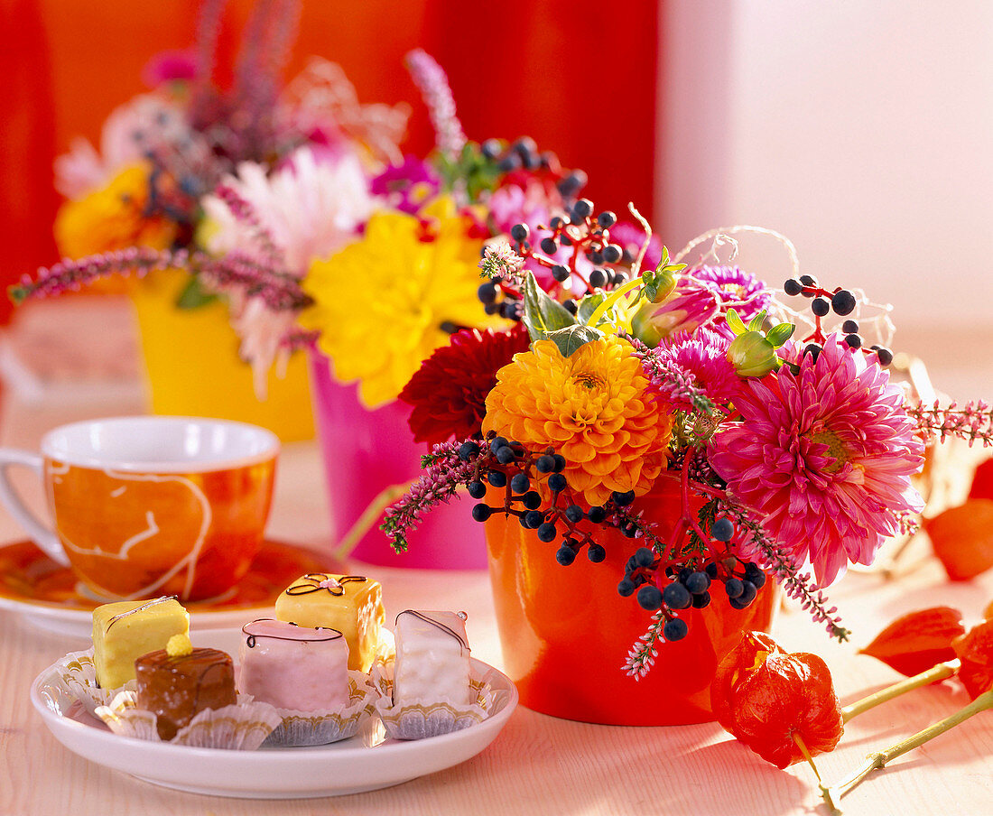 Dahlia dahlias, Aster autumn burnets, Parthenocissus wild wine, Calluna