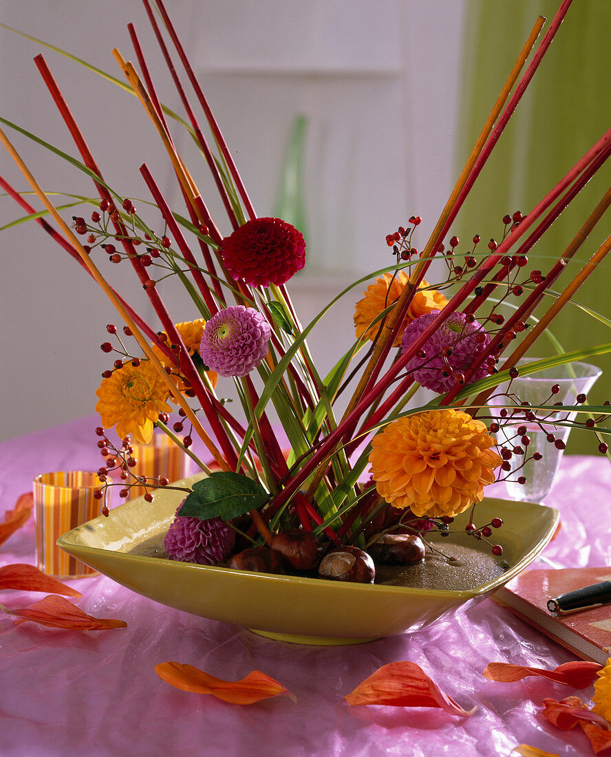 Bowl with Dahlia (dahlia flowers), Rosa (rose hips), Spartina (gold bar grass)