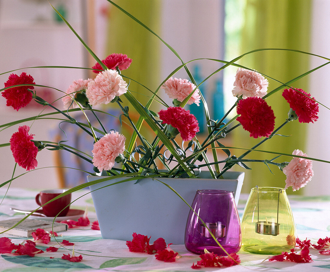 Indoor table decoration