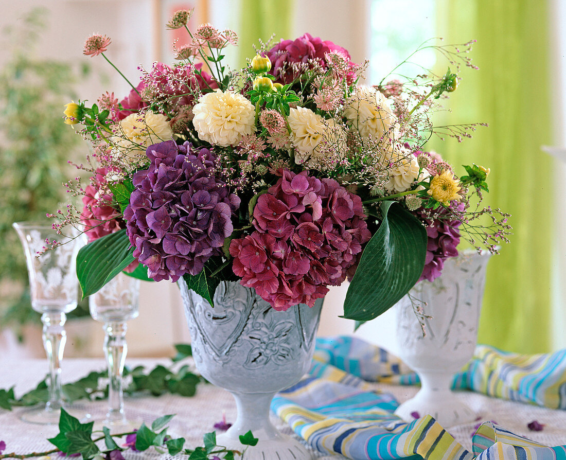 Hydrangea (Hydrangea), Dahlia, Astrantia (Starthistle)